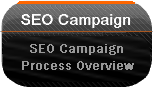 SEO Process Overview